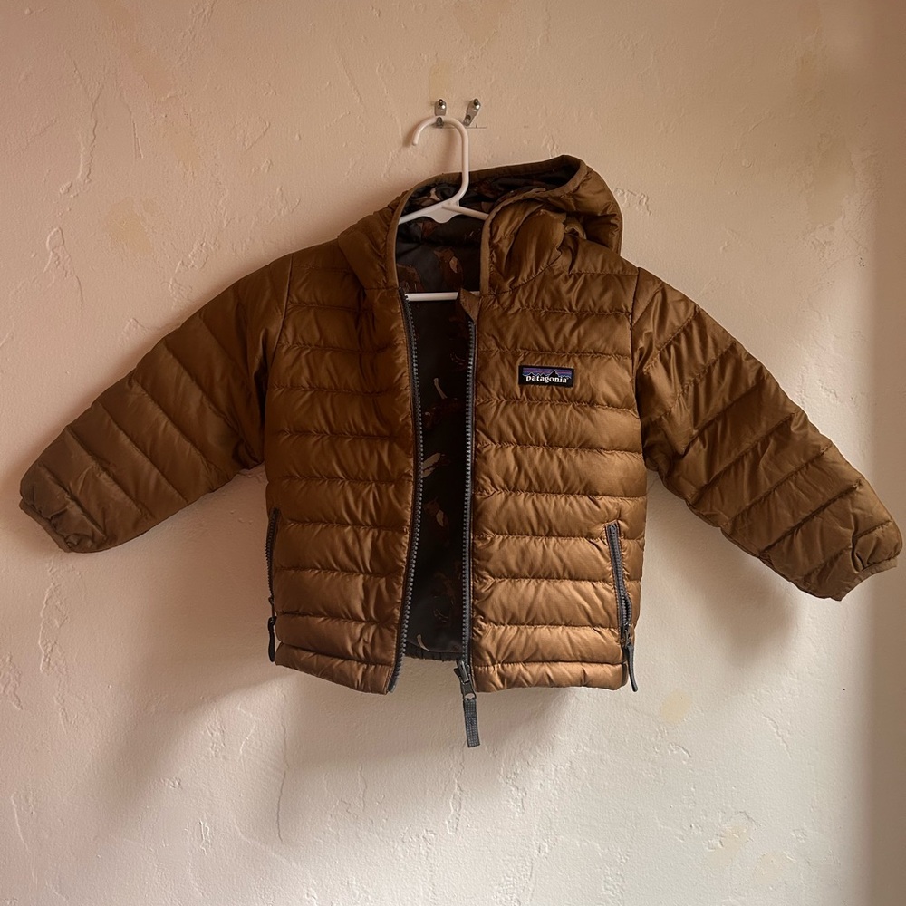 Patagonia Reversible Down Hoodie Jacket